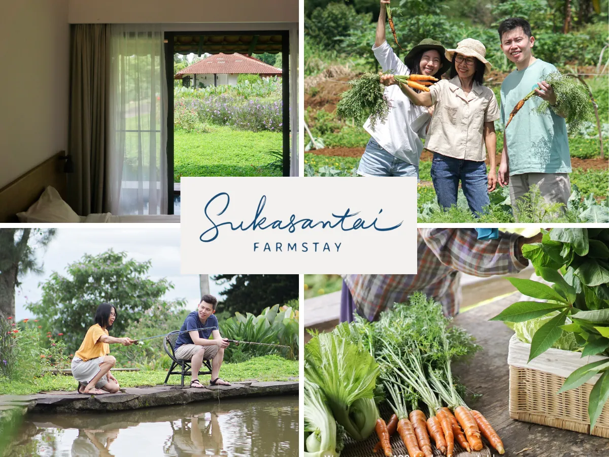 Escape the city life and unwind in a laid back countryside organic farm